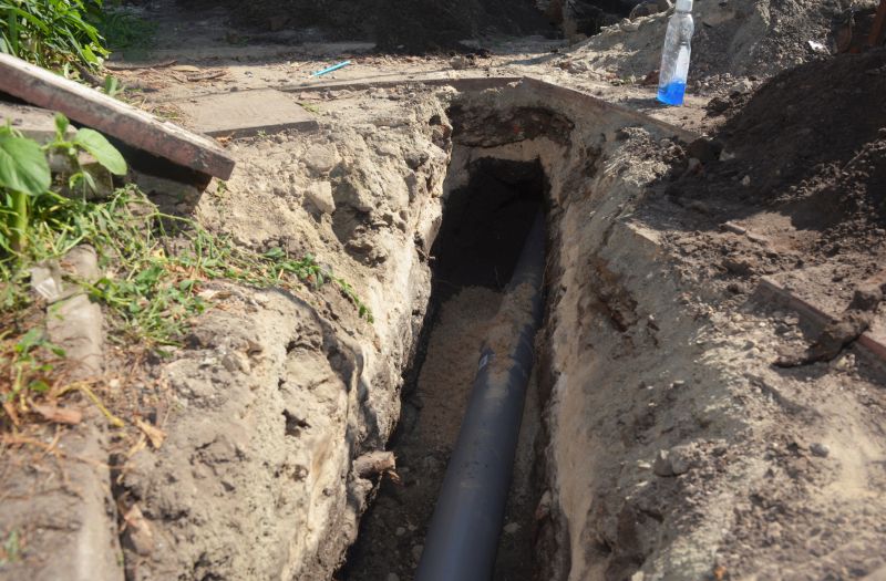 Basement Drain Clearing in Denver, CO